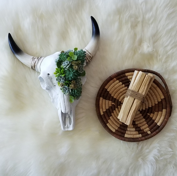 Other - One mini faux buffalo skull wall hanging